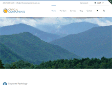 Tablet Screenshot of criticalcomponents.com.au